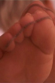 [feetweek性感丝袜美足美腿视频]ID0520 2005.08.18-081