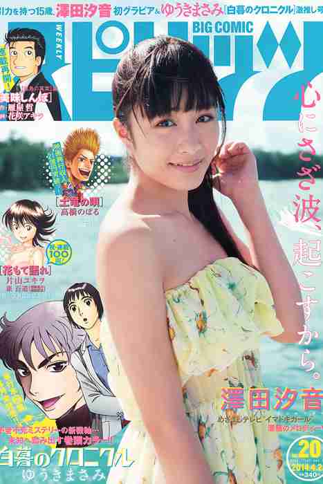 [Weekly Big Comic Spirit性感美女杂志]ID0065 2014 No.20 澤